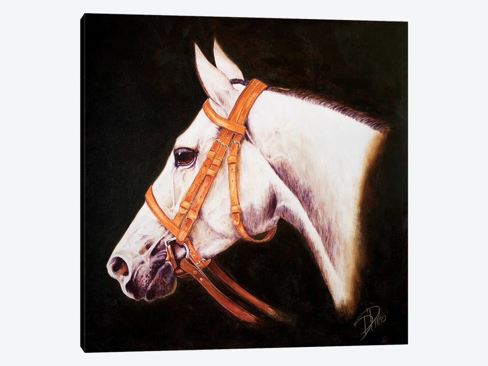 My Horse by Patricia Pinto 1-piece Canvas Artwork