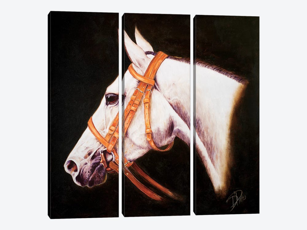 My Horse by Patricia Pinto 3-piece Canvas Wall Art