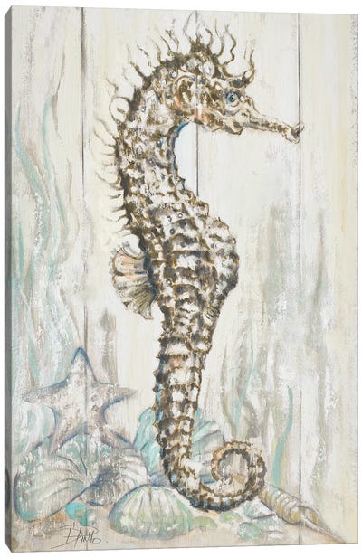 Antique Seahorse I Canvas Art Print - Patricia Pinto