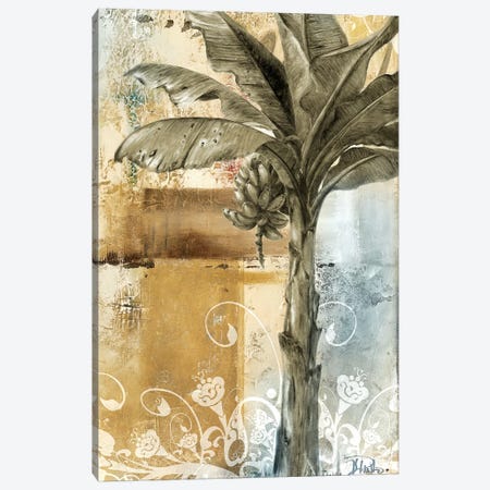 Palm & Ornament II Canvas Print #PPI221} by Patricia Pinto Canvas Artwork
