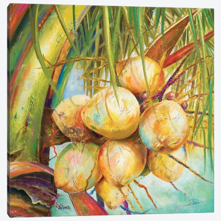 Patricia's Coconuts I Canvas Print #PPI226} by Patricia Pinto Canvas Art Print