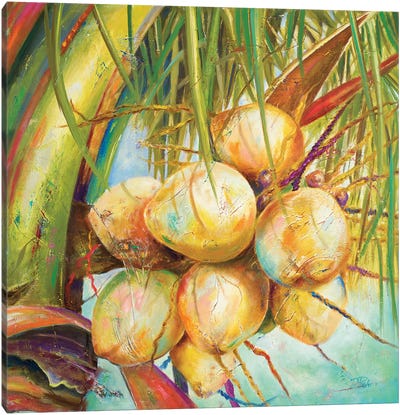Patricia's Coconuts I Canvas Art Print - Patricia Pinto