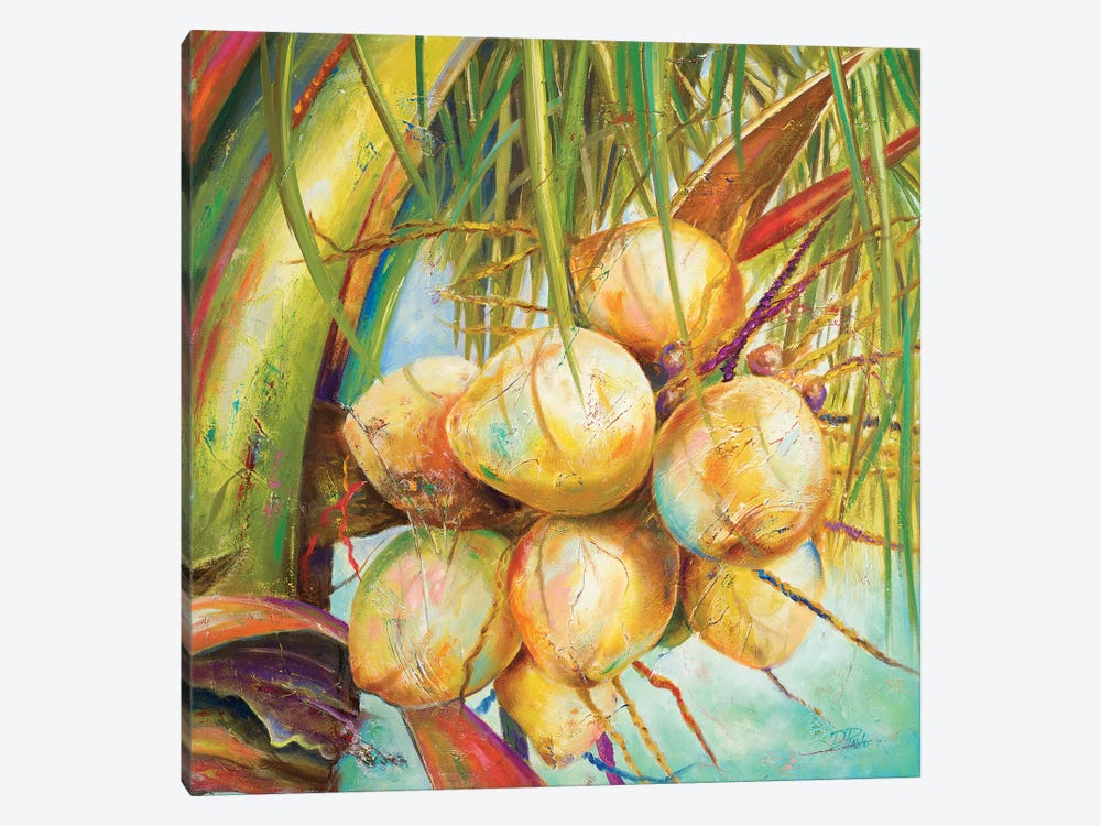 Patricia's Coconuts I by Patricia Pinto 1-piece Canvas Art