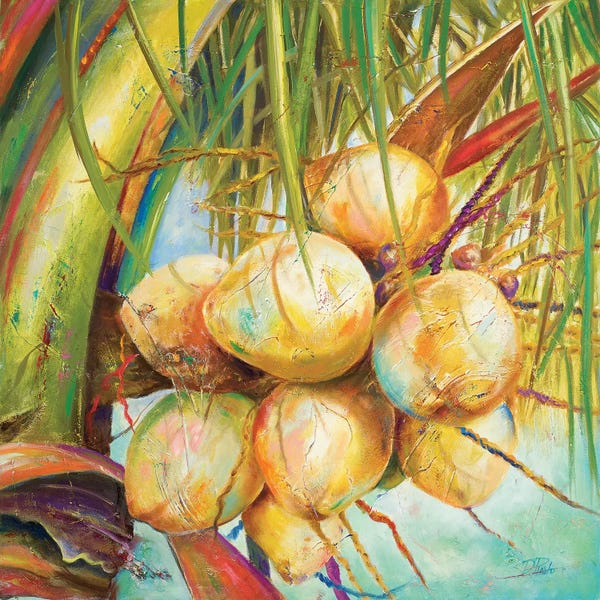 Patricia Pinto: Patricia's Coconuts I by Patricia Pinto