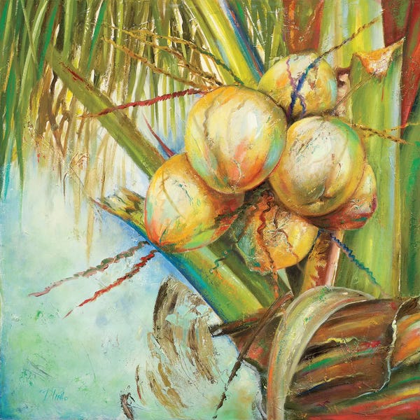 Patricia Pinto: Patricia's Coconuts II by Patricia Pinto