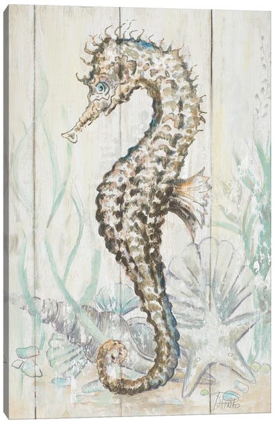 Antique Seahorse II Canvas Art Print - Patricia Pinto