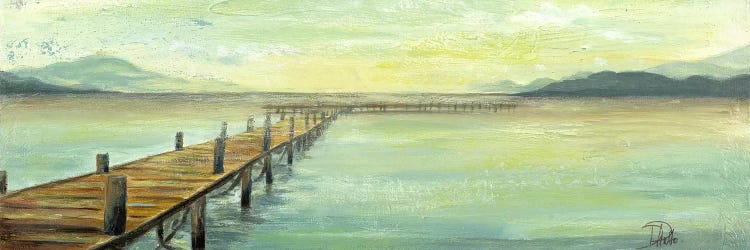 Placid Lake by Patricia Pinto wall art