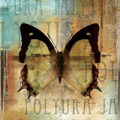 Polyurabutterfly I by Patricia Pinto canvas print