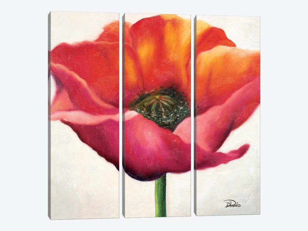 Poppy Flower I by Patricia Pinto 3-piece Canvas Art