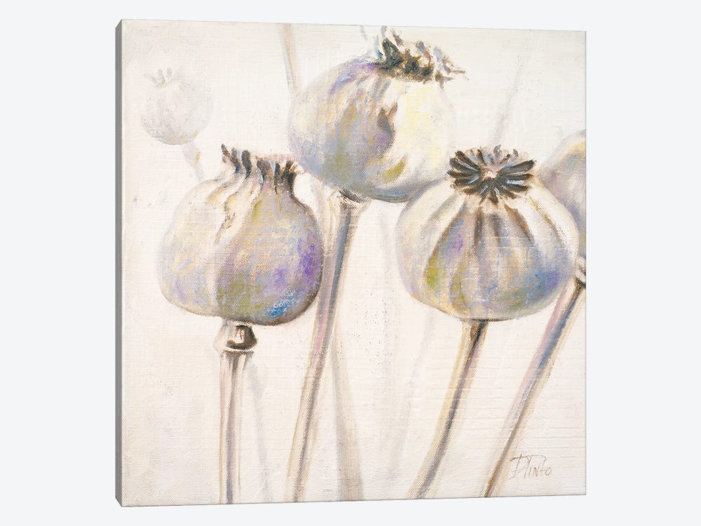 Poppy Seeds I by Patricia Pinto 1-piece Canvas Wall Art