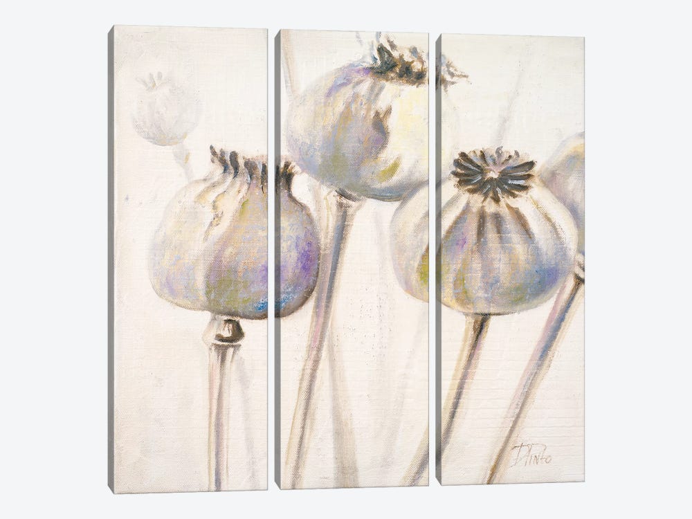 Poppy Seeds I by Patricia Pinto 3-piece Canvas Wall Art