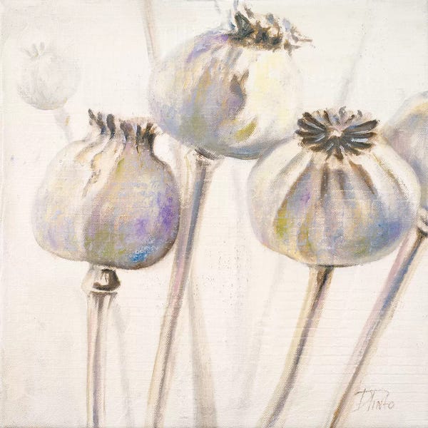 Patricia Pinto: Poppy Seeds I by Patricia Pinto