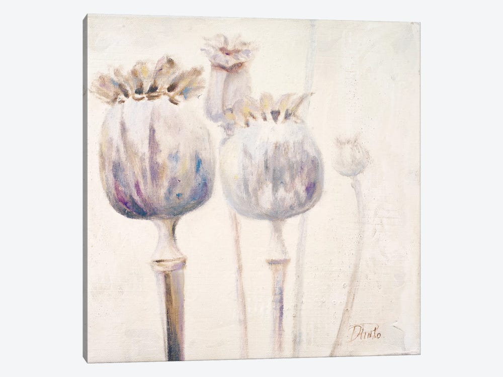 Poppy Seeds II by Patricia Pinto 1-piece Canvas Print
