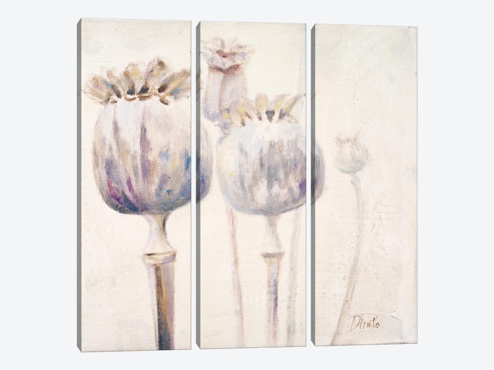 Poppy Seeds II by Patricia Pinto 3-piece Canvas Print