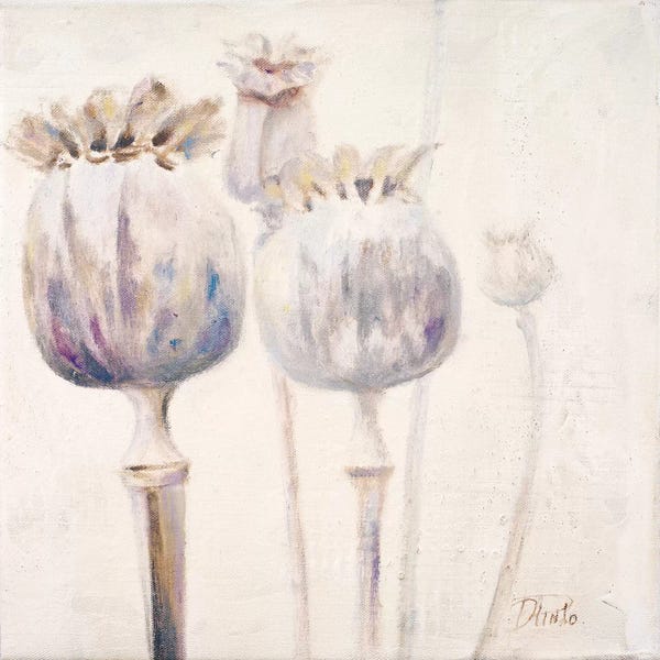 Patricia Pinto: Poppy Seeds II by Patricia Pinto