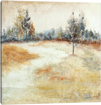 Quiet Forest I Canvas Art Print - Patricia Pinto