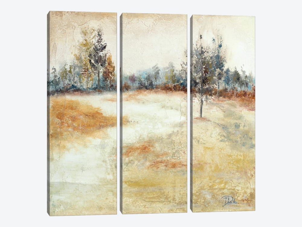 Quiet Forest I by Patricia Pinto 3-piece Canvas Artwork