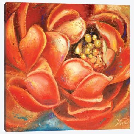 Red Lotus I Canvas Print #PPI253} by Patricia Pinto Art Print