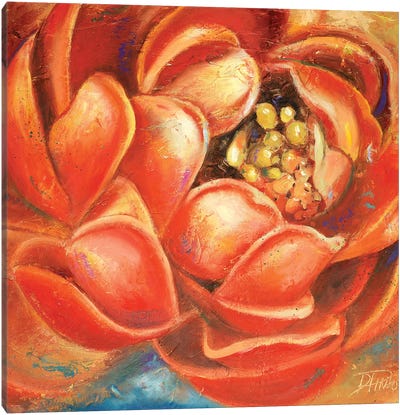 Red Lotus I Canvas Art Print - Patricia Pinto