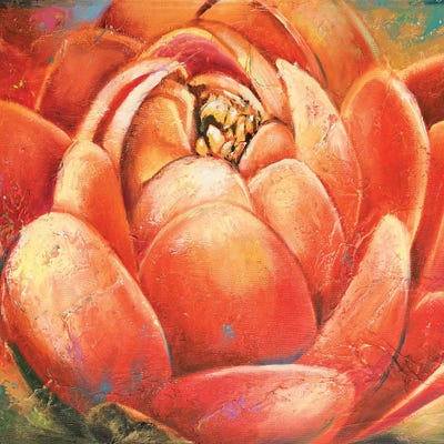 Red Lotus II by Patricia Pinto framed wall art