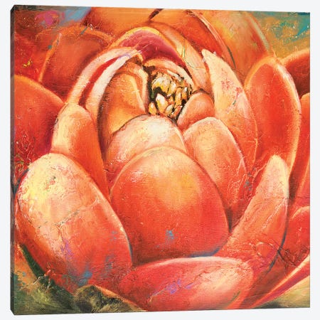 Red Lotus II Canvas Print #PPI254} by Patricia Pinto Canvas Artwork