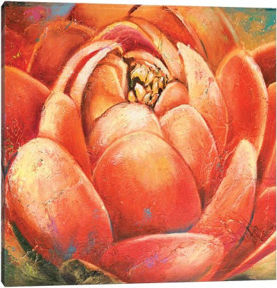 Red Lotus II Canvas Art Print - Lotus Art