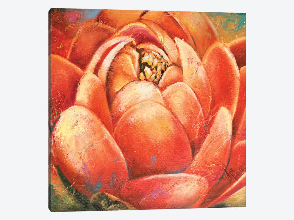 Red Lotus II by Patricia Pinto 1-piece Canvas Print