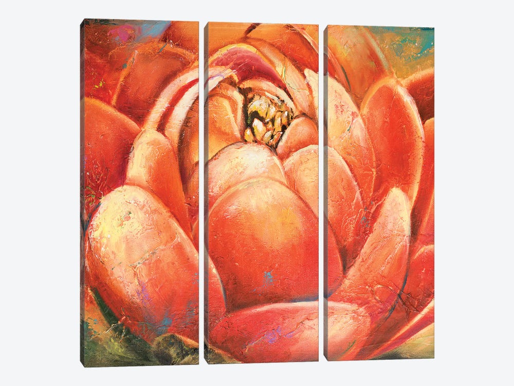 Red Lotus II by Patricia Pinto 3-piece Canvas Art Print