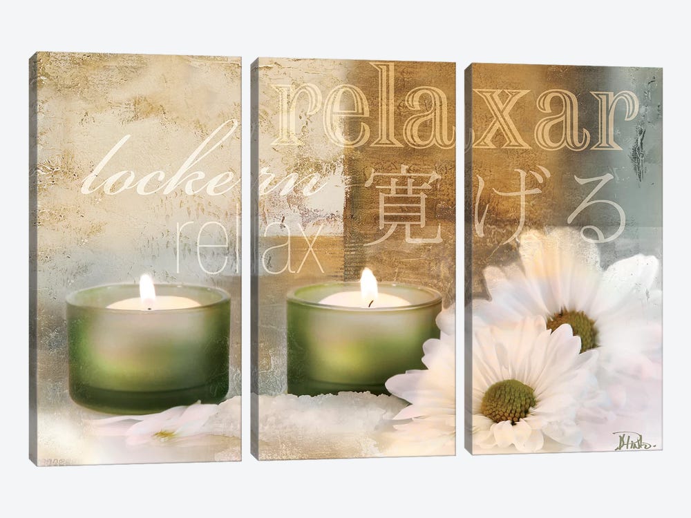 Relaxation I by Patricia Pinto 3-piece Canvas Art
