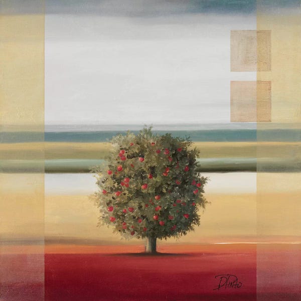 Patricia Pinto: Apple Tree I by Patricia Pinto
