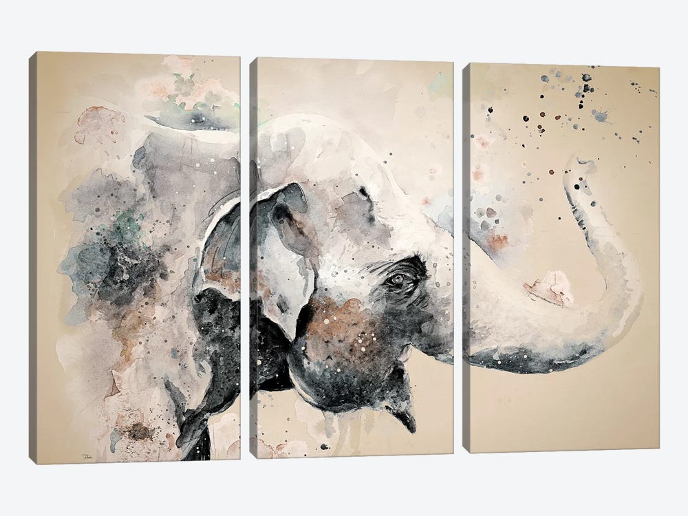 Sandstone Elephant by Patricia Pinto 3-piece Canvas Print