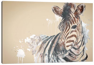 Sandstone Zebra Canvas Art Print - Zebra Art