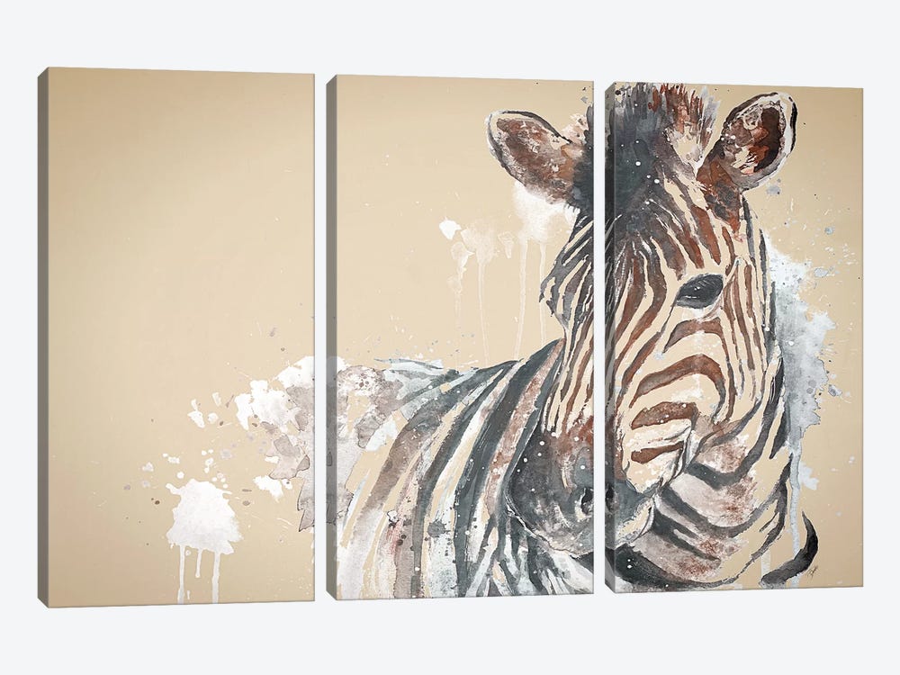 Sandstone Zebra by Patricia Pinto 3-piece Canvas Art