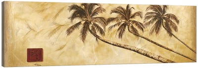 Sepia Palms Canvas Art Print - Patricia Pinto