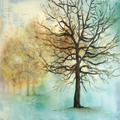 Serene Forest I by Patricia Pinto canvas print
