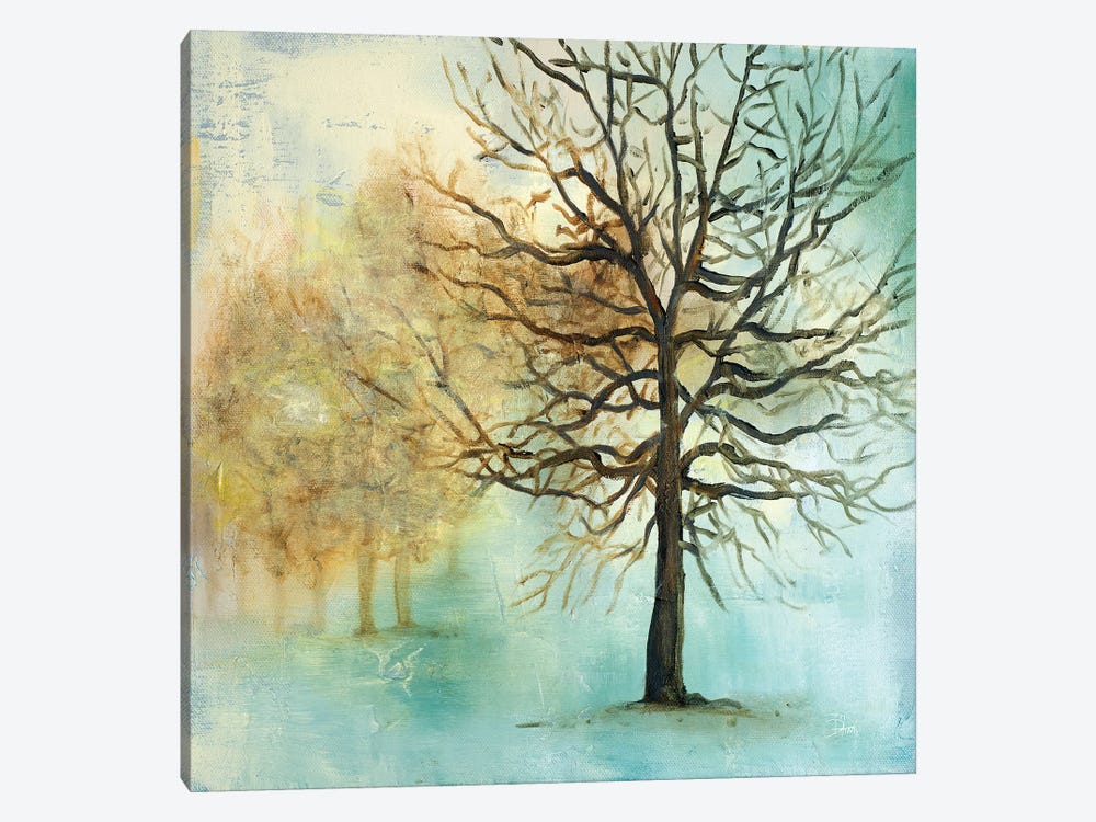 Serene Forest I by Patricia Pinto 1-piece Canvas Print