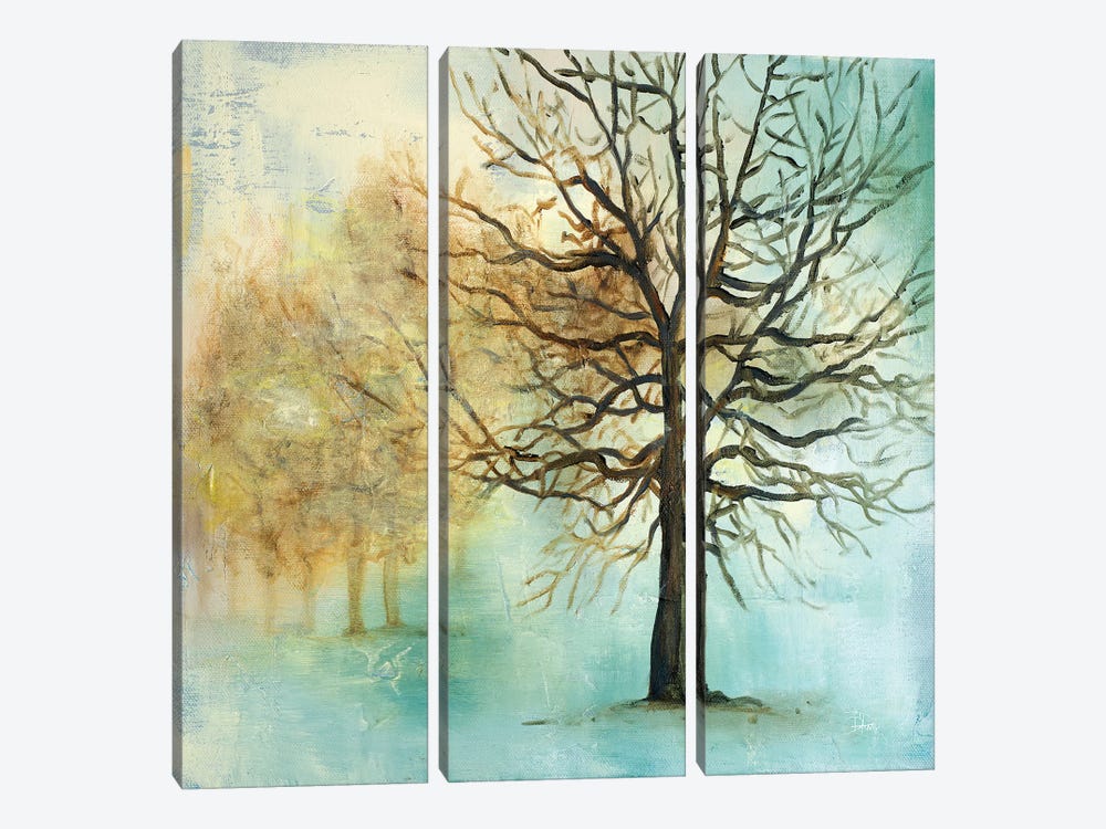 Serene Forest I by Patricia Pinto 3-piece Art Print