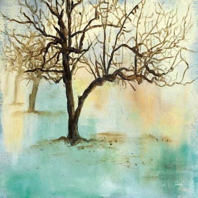 Serene Forest II by Patricia Pinto canvas print