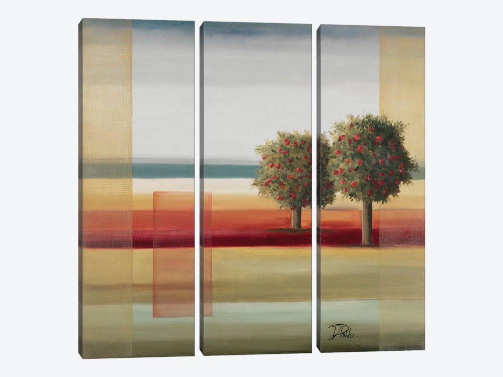 Apple Tree II by Patricia Pinto 3-piece Canvas Wall Art
