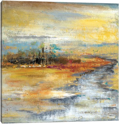 Silver River I Canvas Art Print - Patricia Pinto