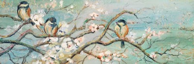 Spring Branch with Birds Canvas Wall Art by Patricia Pinto iCanvas