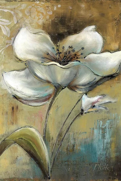 Patricia Pinto: Spring I by Patricia Pinto