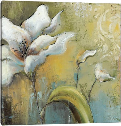 Spring II Canvas Art Print - Patricia Pinto