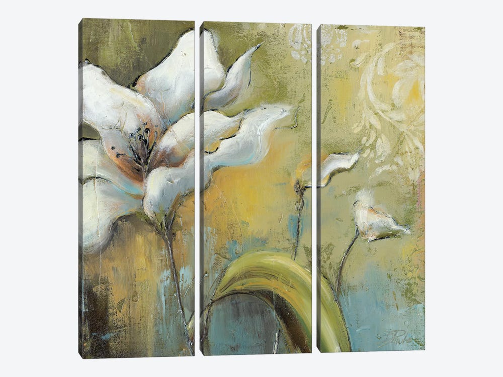 Spring II by Patricia Pinto 3-piece Canvas Art