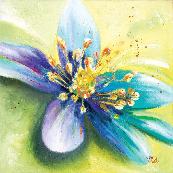 Patricia Pinto: Summer Flowers I by Patricia Pinto