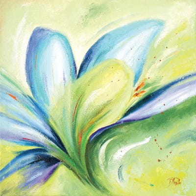 Summer Flowers II by Patricia Pinto canvas print