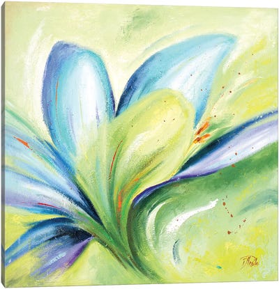 Summer Flowers II Canvas Art Print - Patricia Pinto