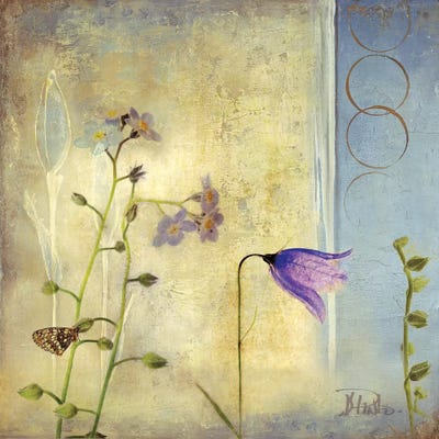 Sunrise II by Patricia Pinto canvas print