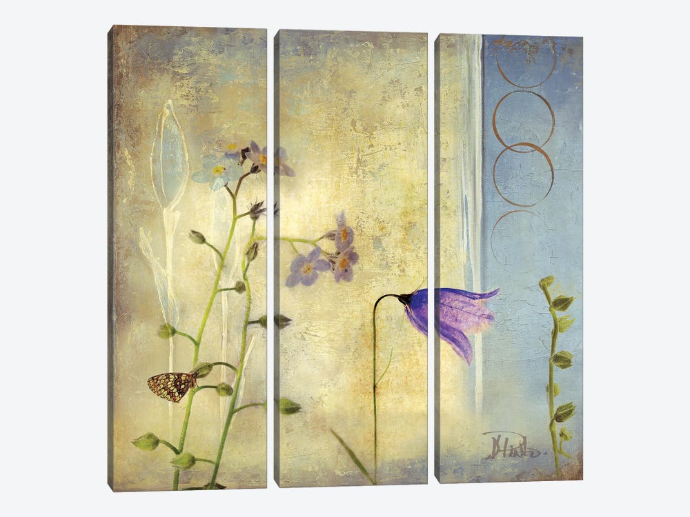 Sunrise II by Patricia Pinto 3-piece Canvas Wall Art