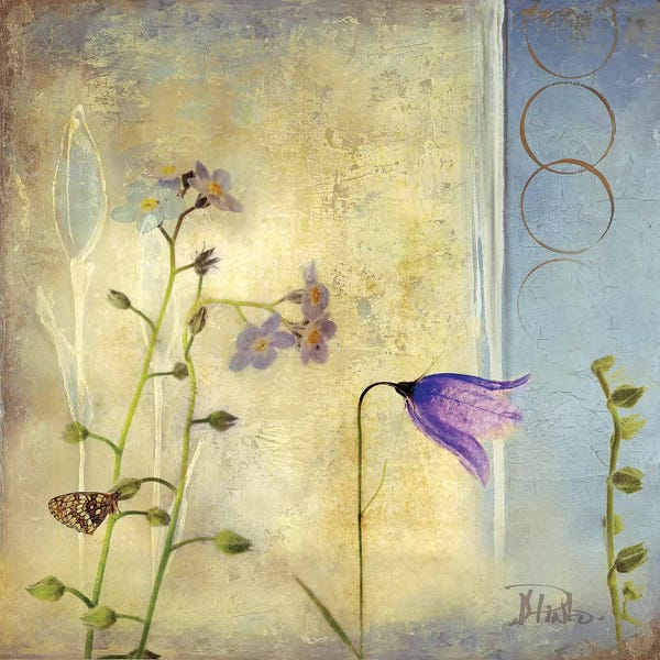 Patricia Pinto: Sunrise II by Patricia Pinto